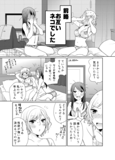 Cat and Cat Endless Night