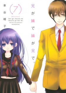 Ani ga Imouto de Imouto ga Ani de