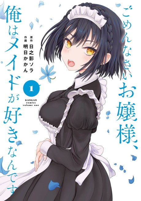 Gomennasai Ojou-sama, Ore wa Maid ga Suki nan desu