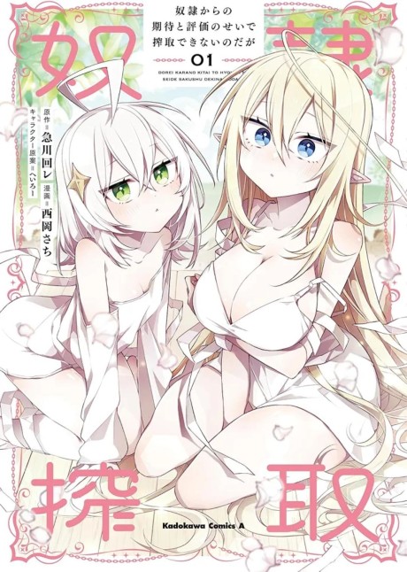 Dorei kara no Kitai to Hyouka no sei de Sakushu dekinai no daga