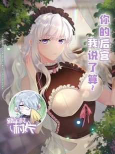 Chief of The Novice Village